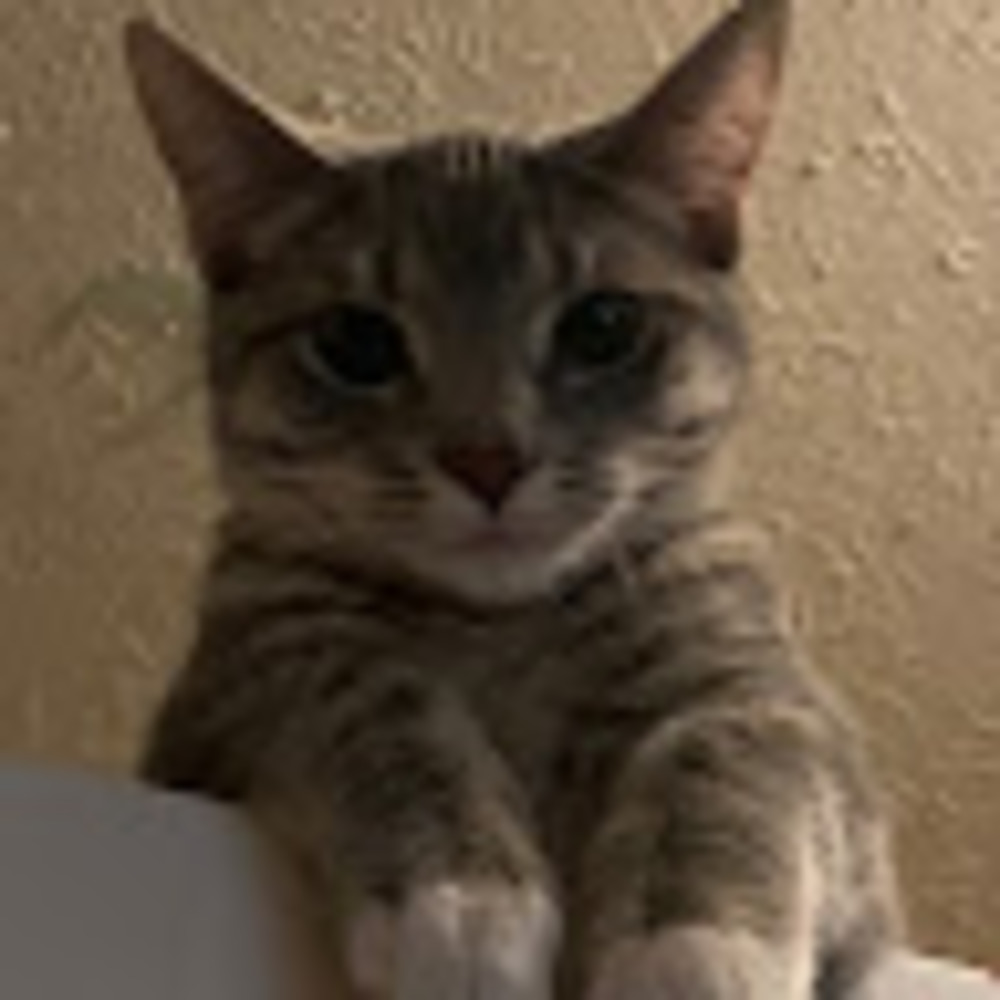 Meet your Posher, Erin kathleen